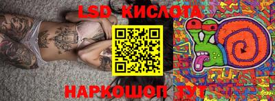 молекула духа Будённовск