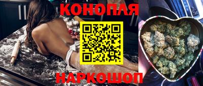 молекула духа Будённовск