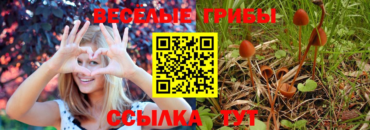 Псилоцибиновые грибы Magic Shrooms  Вход с VPN  Шебекино 