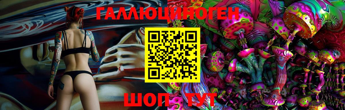 Псилоцибиновые грибы Psilocybine cubensis Шебекино